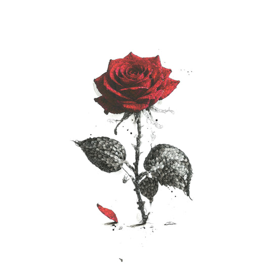 The Red Rose - Original Mixed Media - Richard Berner Art
