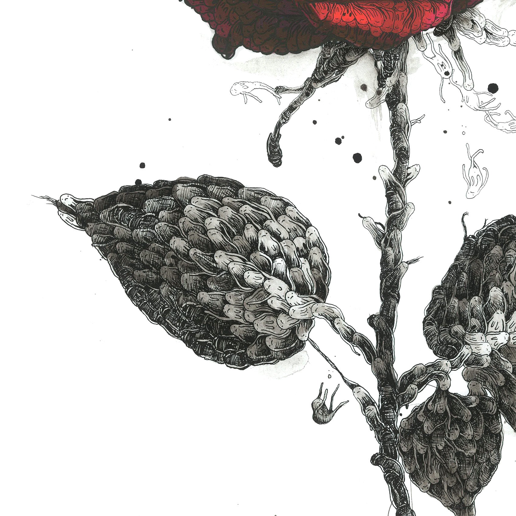 The Red Rose - Original Mixed Media - Richard Berner Art
