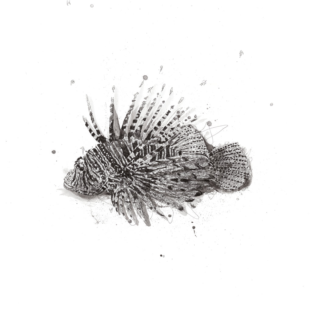 Lionfish Of Destiny - Signed Print
