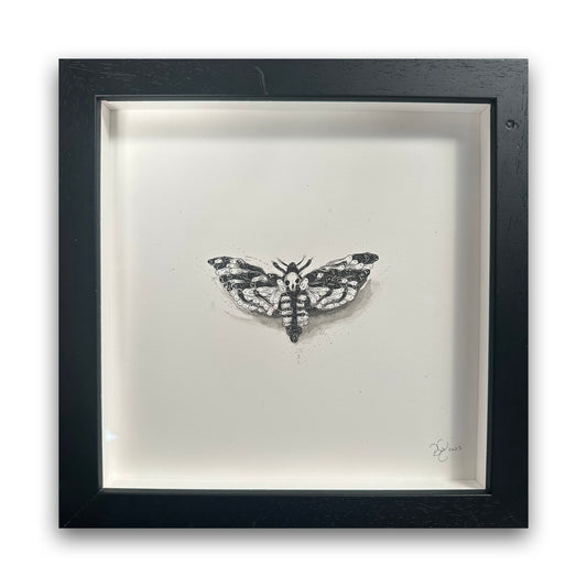 Moth - Framed Original - Richard Berner Art