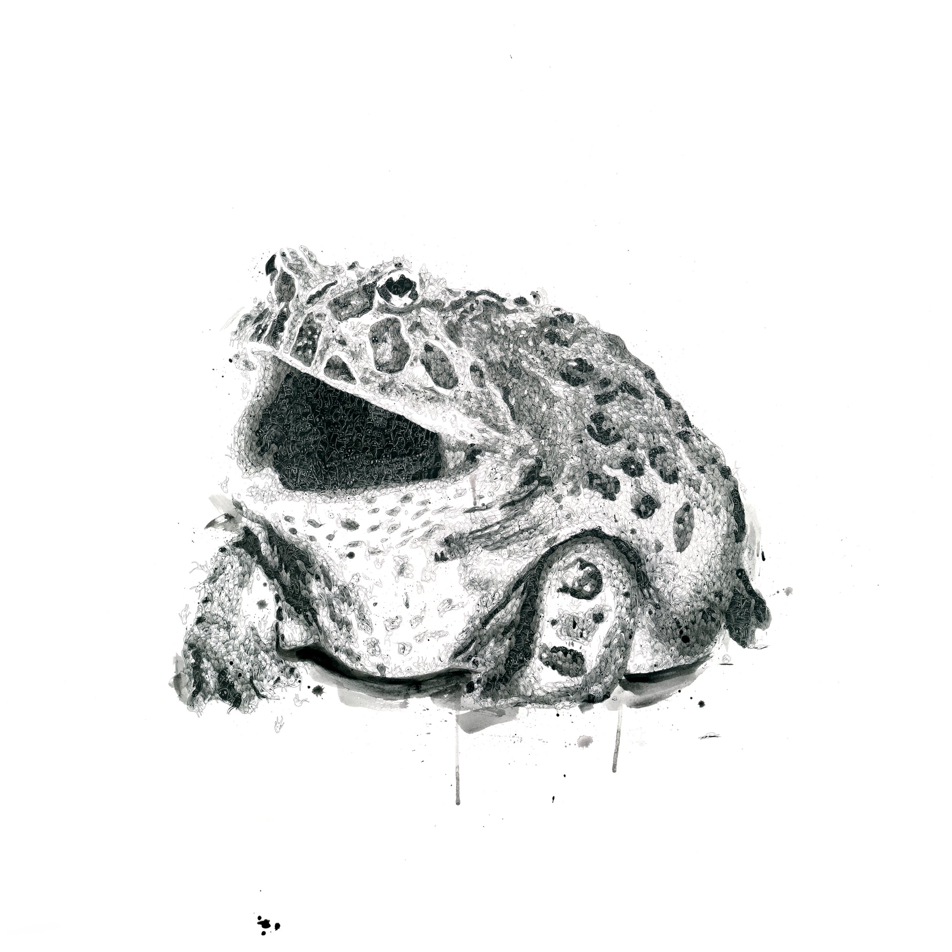 Frog of Champs - Signed Print - Richard Berner Art