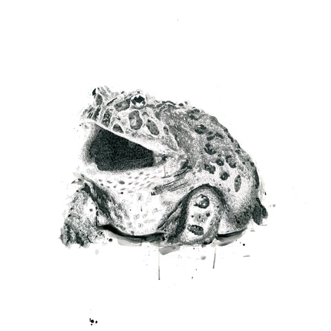 Frog of Champs - Signed Print